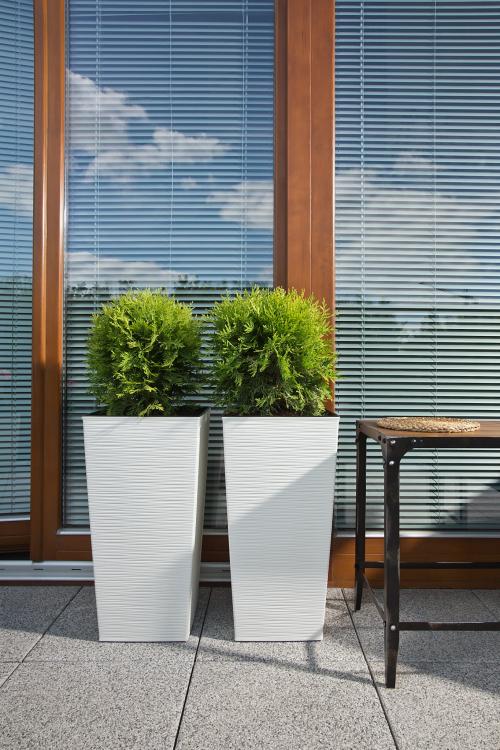 FINEZJA DŁUTO 1 BIAŁY