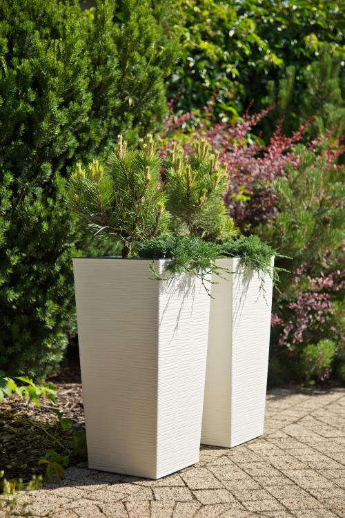 FINEZJA DŁUTO kremowy