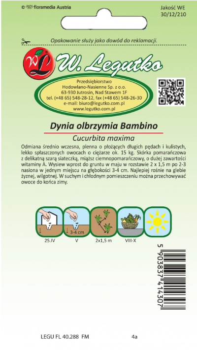 Nasiona Dynia olbrzymia Bambino, pomarańczowa