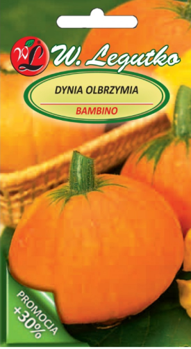 Nasiona Dynia olbrzymia Bambino, pomarańczowa