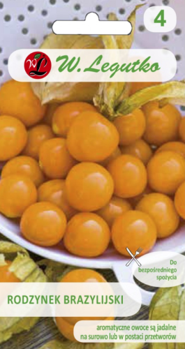 Rodzynek brazylijski (Miechunka peruwiańska)