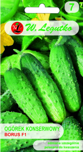 Ogórek Cucumis sativus Borus F1 4 00g