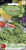 Rukola -1.png