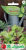 Baby Mieszanka Fitness -1.png