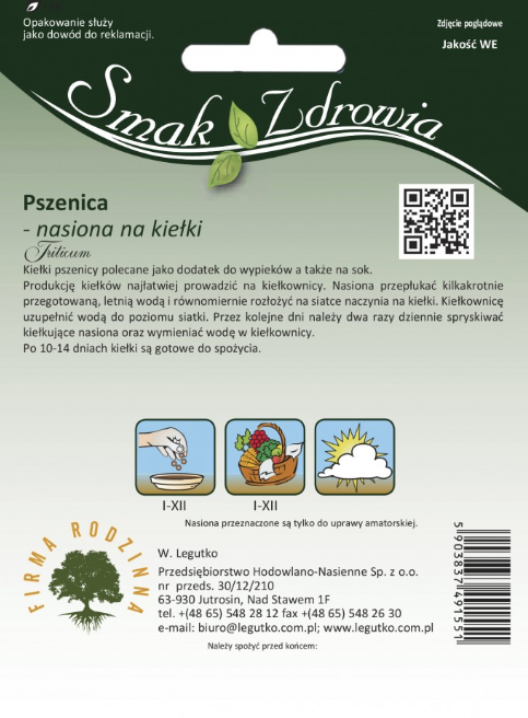 Nasiona na kiełki - Pszenica