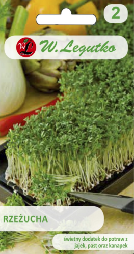 Rzeżucha Lepidium sativum