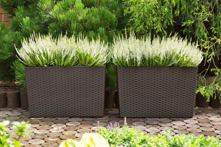 WERBENA RATTAN mokka