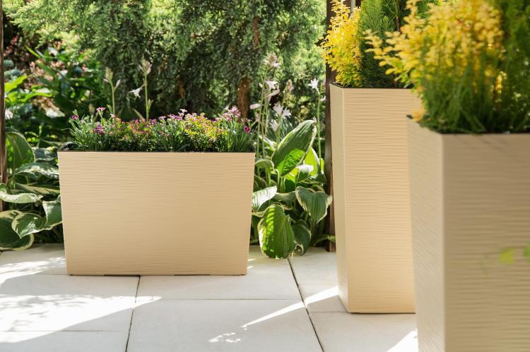 WERBENA DŁUTO cappuccino