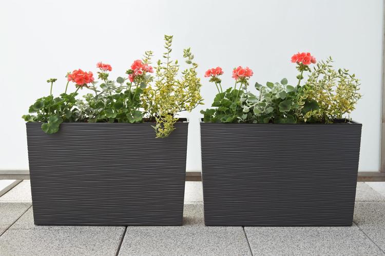 WERBENA 2 GRAFIT METALIK