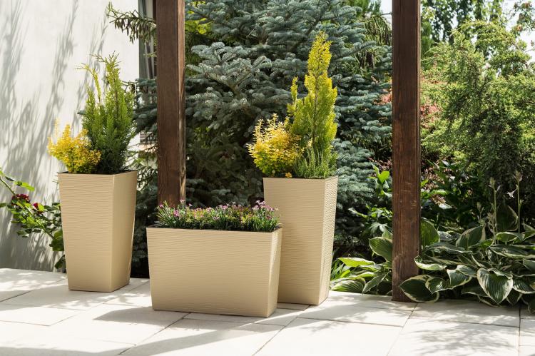 FINEZJA DŁUTO i WERBEBA DŁUTTO  cappuccino