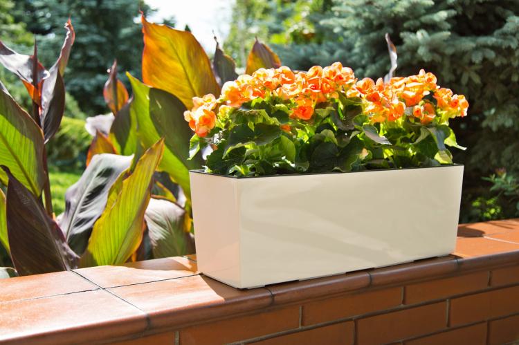 Doniczka balkonowa BEGONIA 190x560 połysk kremowy