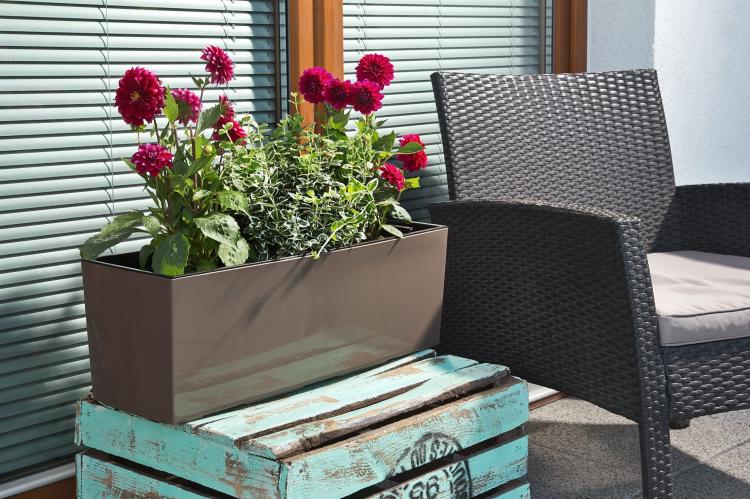 Doniczka balkonowa BEGONIA 190x560 połysk