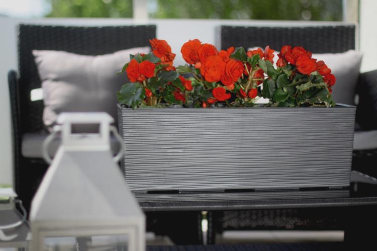 Doniczka balkonowa BEGONIA 190x560 dłuto metalik