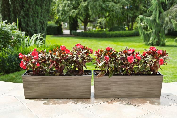 Doniczka balkonowa BEGONIA 190x560 dłuto frappe