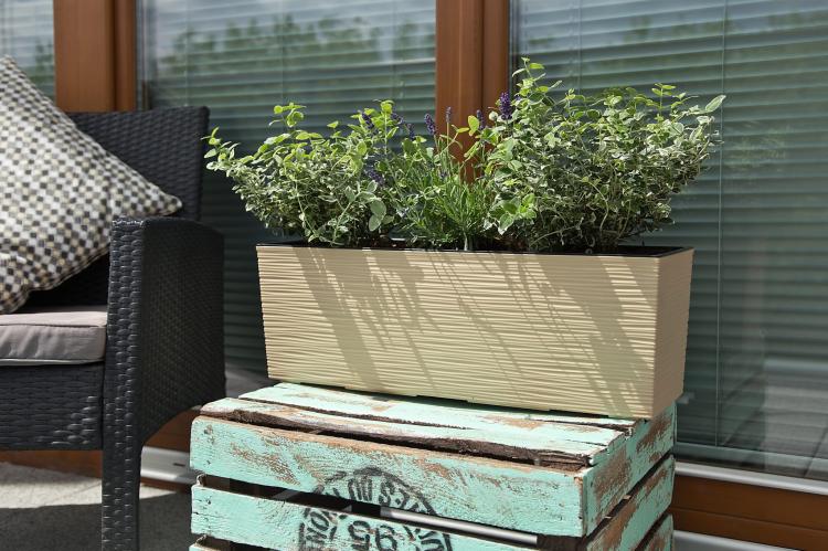 Doniczka balkonowa BEGONIA 190x560 dłuto CAPPUCCINO