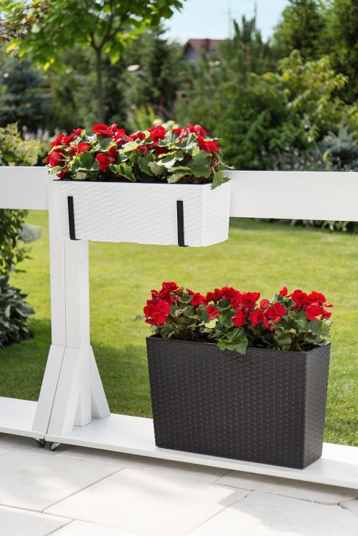 Doniczka balkonowa BEGONIA 190x560 rattan RATTAN