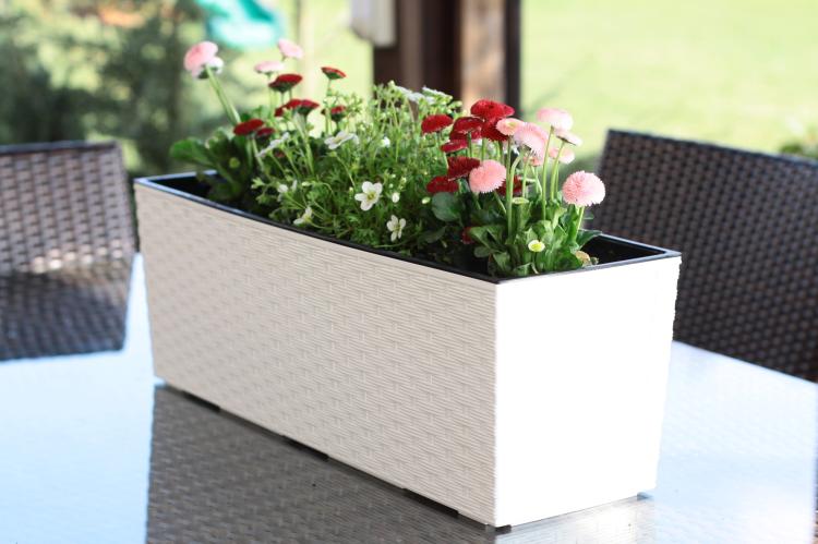 Doniczka balkonowa BEGONIA 190x560 rattan KREMOWY