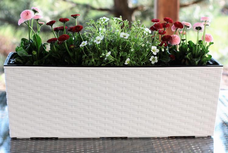 Doniczka balkonowa BEGONIA 190x560 rattan  KREMOWY