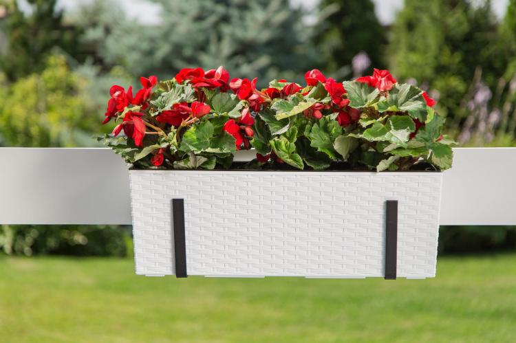 Doniczka balkonowa BEGONIA 190x560 rattan