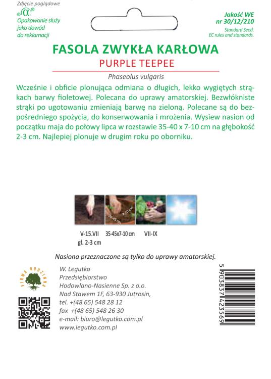 Fasola Zwykła Karłowa-szparagowa Purple teepee