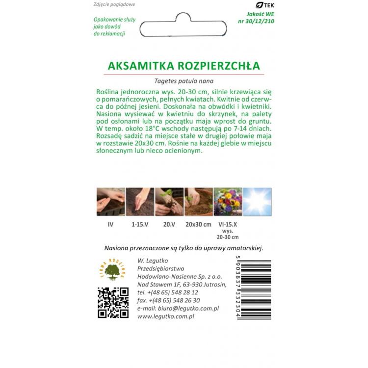 Aksamitka rozpierzchła pomarańczowa