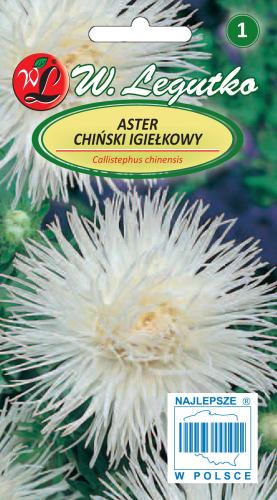 Aster chiński igiełkowy biały