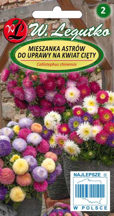 Aster chiński na kwiat cięty mieszanka