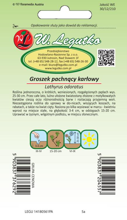 Groszek pachnący mieszanka karłowa