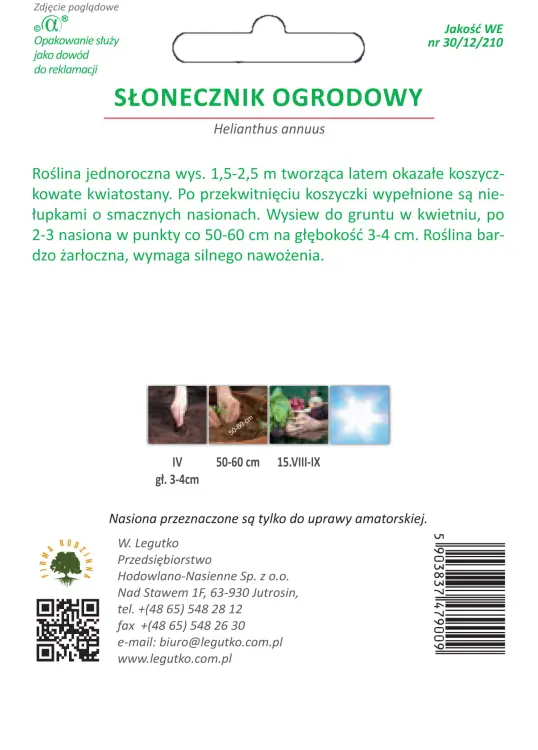 Słonecznik ogrodowy