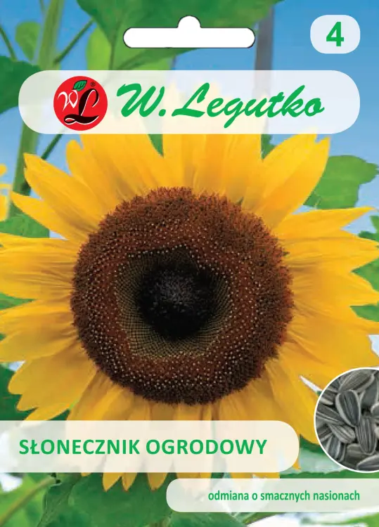 Słonecznik ogrodowy