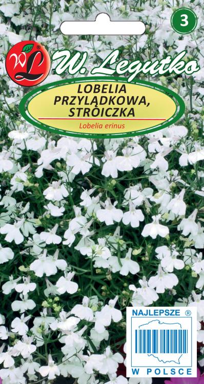 Lobelia_przyladkowa_Stroiczka_biala_przod.jpg