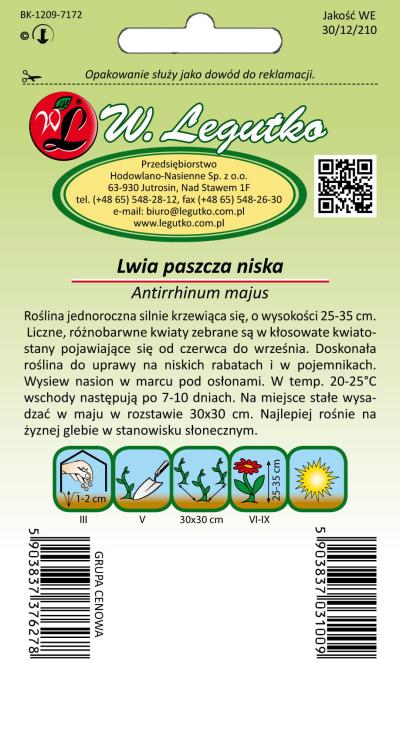 Lwia paszcza niska mieszanka