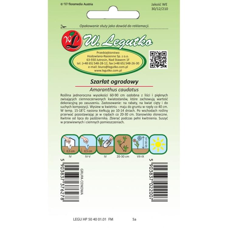 Nasiona Szarłat zwisły czerwony