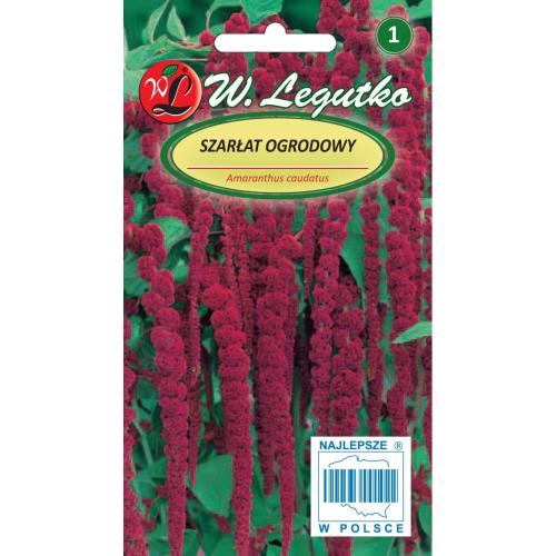 Nasiona Szarłat zwisły czerwony
