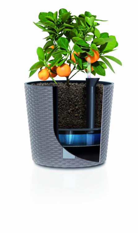 Doniczka z nawadnianiem, okrągła rattanowa Rato DRTUS250LS