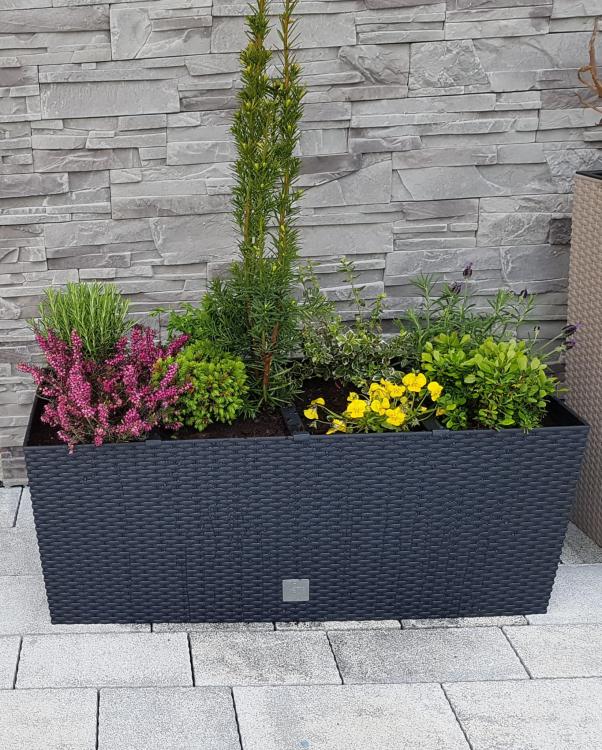 Doniczka rattanowa RATO Case DRTC600