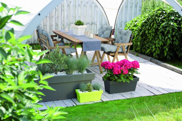 Lofly Case_DLOFC_aranz 06.jpg