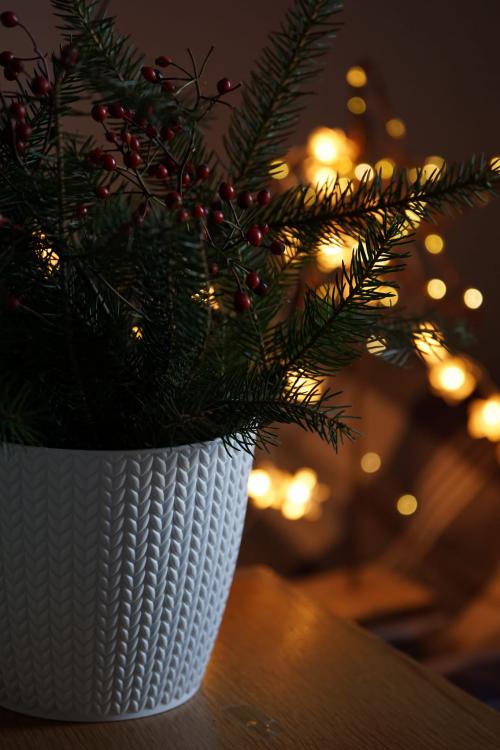 Doniczka okrągła Wheaty DWH160