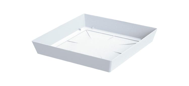 PPLFQ_S449 LOFLY.jpg