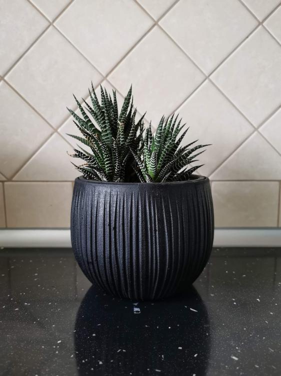 Doniczka kula Beton Bowl DKB150 z wkładem