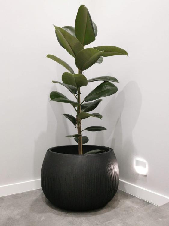 Doniczka kula Beton Bowl DKB240 z wkładem