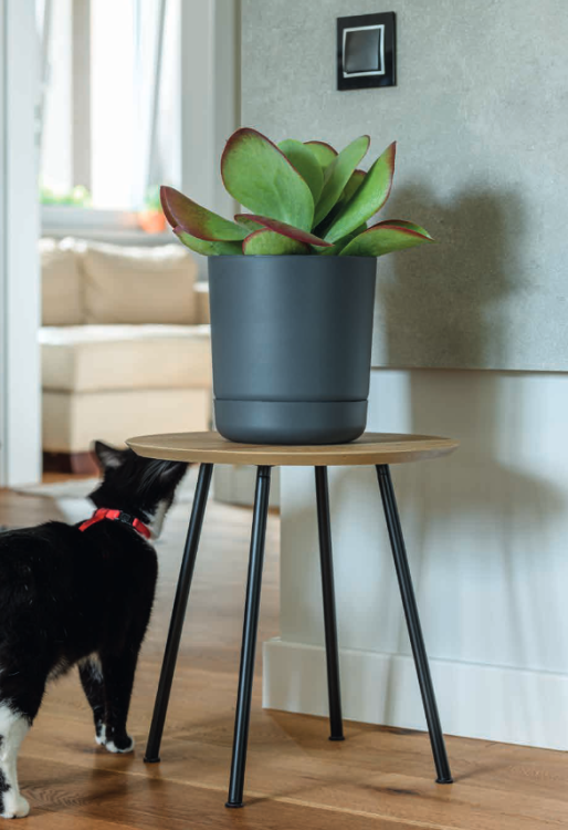 satina z podstawką.png