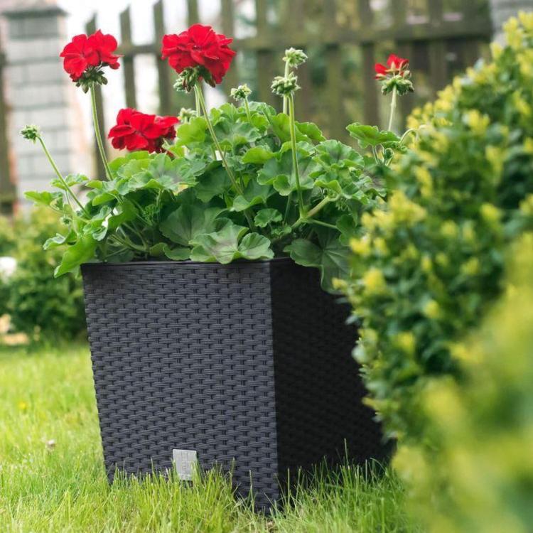 Doniczka kwadratowa, rattanowa RATO Low DRTS200L z wkładem