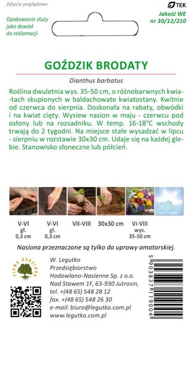Nasiona Goździk brodaty mieszanka,1g