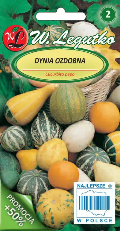 Dynia_ozdobna_mieszanka_przod.jpg