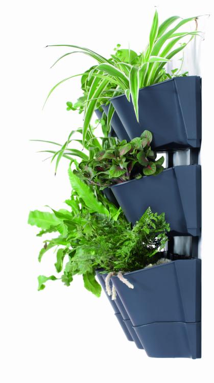 Zielona ściana - Ogród wertykalny wiszący CASCADE WALL