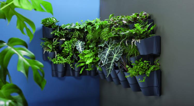Zielona ściana - Ogród wertykalny wiszący CASCADE WALL
