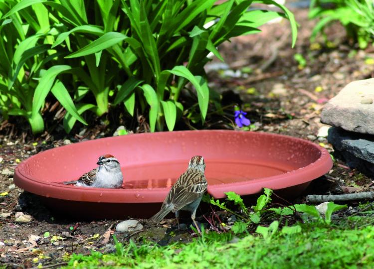 POD podstawka_aranz.jpg