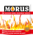 MORUS proszek do kominka 50 g (saszetka) - 5904517164031 - 18.08.16.png