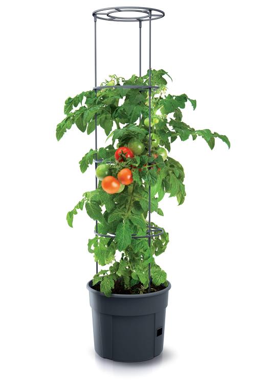 Doniczka do pomidorów, planter, Tomato Grower 300